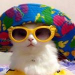 Profile Picture of camille (@camille.wolfe) on Instagram