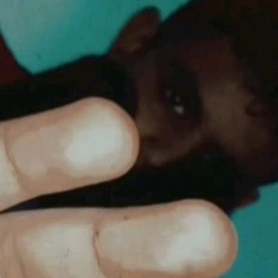 Profile Picture of Adolfo Almeida (@AdolfoAlmeida14) on Twitter