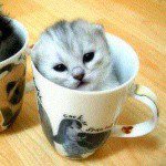 Profile Picture of Tae Bae (@tatum.jeffery) on Instagram