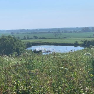 Profile Picture of Matt Reimers Jr. (@Matt-Reimers-Jr) on Facebook