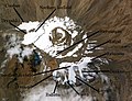 Profile Picture of Credner Glacieron Wikipedia