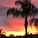 Michele Kehoe - Instagram Profile Picture of Michele Kehoe (@kehoemichele) on Instagram