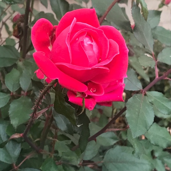 Inna Inna - Poshmark Profile Picture of Inna Inna (@mfaith100) on Poshmark