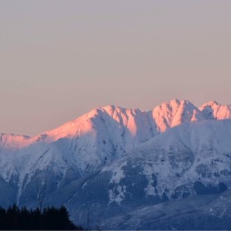 Profile Picture of Dingaling2u (@dingaling2u) on Twitter