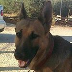 Profile Picture of Vicky Hurtado Castillo (@vicky.hurtadocastillo) on Instagram