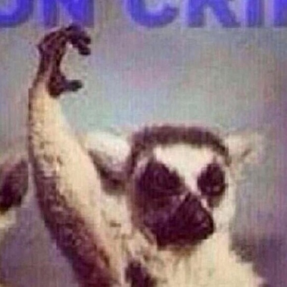 Sadik Farah - Poshmark Profile Picture of Sadik Farah (@djizzlebaby) on Poshmark