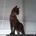 Profile Picture of Susan Guthrie (@susan.guthrie.376) on Facebook
