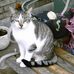 Profile Picture of Doris Hinds (@doris.hinds.3) on Facebook