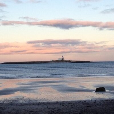 Profile Picture of Mark Madden (@markmadden1) on Twitter