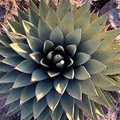 Profile Picture of Adrian Viveros (@adrianviveros2417) on Youtube