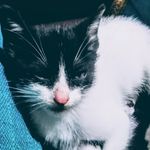 Profile Picture of jimmy Mauricio yepes ortiz (@ji_my726) on Instagram