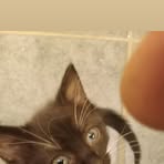 Profile Picture of Jeremy Myszkowski (@jeremy.myszkowski.18) on Facebook