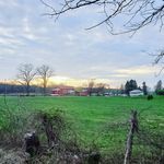 Profile Picture of Justin Lorenzo (@lorenzo1784) on Instagram