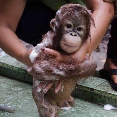 Profile Picture of Jim Alderman (@B3ardo) on Twitter