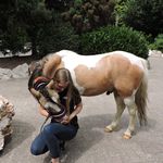 Profile Picture of Milan Santa & Pointer (@verena.pointer) on Instagram