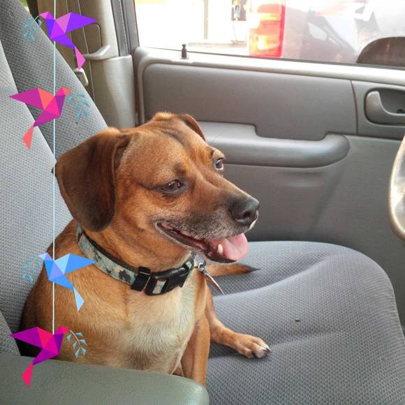 Profile Picture of Tina Quick (@cloverquick) on Poshmark