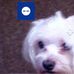 Profile Picture of Julia Colvin (@julia.colvin.583) on Facebook
