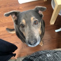 Profile Picture of Patty Schroeder (@patty-schroeder-1) on Quora