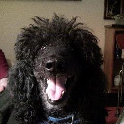 Profile Picture of Lawrence C Kleinman (@DrLarryK) on Twitter