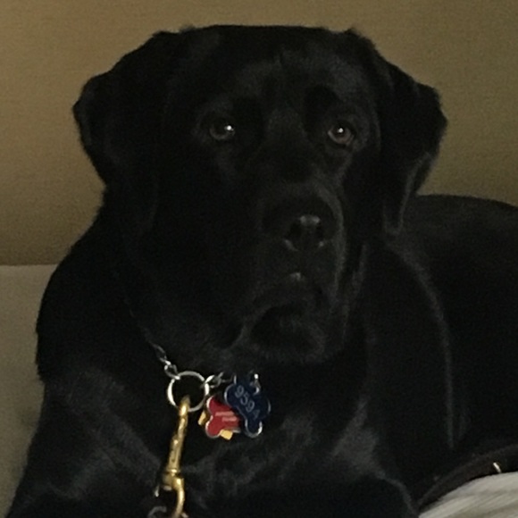 Profile Picture of Tina Aulicino (@tina365) on Poshmark