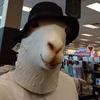 Profile Picture of Andrew ODonnell (@@andrewodonnell34) on Tiktok
