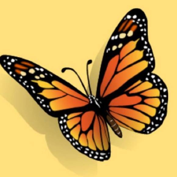 Profile Picture of Danielle Rodowitz (@danielle_9874) on Poshmark