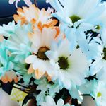 Profile Picture of Taylor Chapin (@photography_tkc) on Instagram