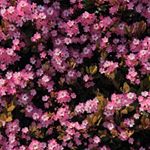 Profile Picture of Mark Kalenichenko (@mark.kalen) on Instagram