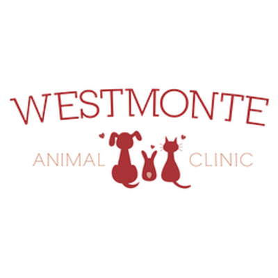 Profile Picture of Lisa Matagrano (@westmonteac) on Twitter