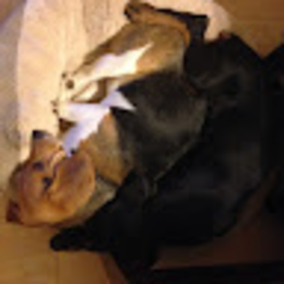 Jennifer Speciale - Poshmark Profile Picture of Jennifer Speciale (@jspeciale03) on Poshmark