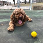 Profile Picture of Patrick Aubert (@paubert10) on Instagram