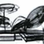 Profile Picture of Daniel Talegaonkar (@daniel david talegaonkar) on Flickr