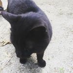 Profile Picture of Christopher Karcher (@christopher.karcher.906) on Instagram