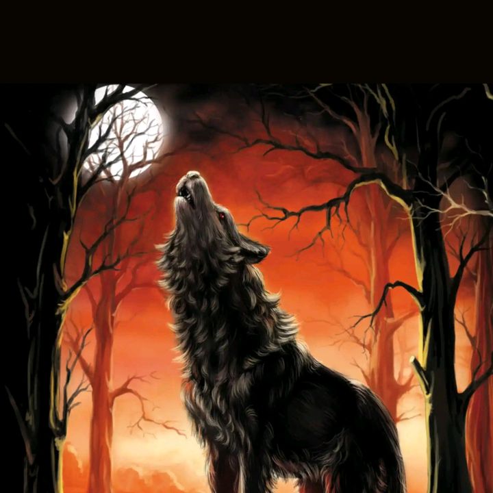 Profile Picture of bigbadj2476 (@johnburkart375) on Tiktok