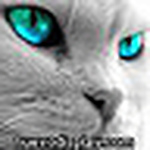 Profile Picture of sarita sevillista (@sarita sevillista) on Flickr