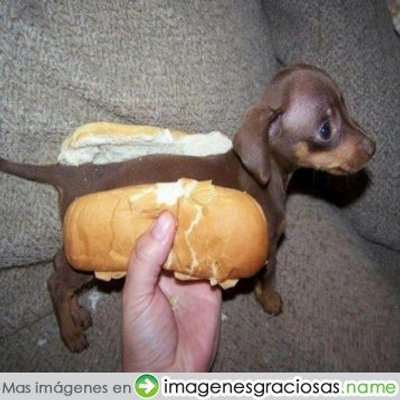 Profile Picture of Stuart Alvarez (@stuartal0508) on Twitter