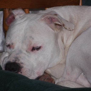 Profile Picture of Bonny Simonds (@simondsb) on Myspace