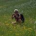 Profile Picture of Barbara Aigner (@barbara.aigner.3114) on Facebook