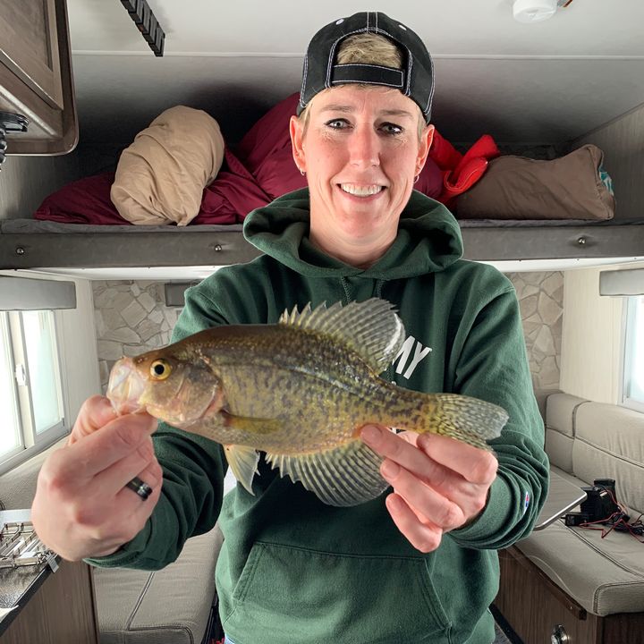 Profile Picture of Tracy Feran (@tracyferan) on Tiktok