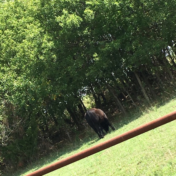 Profile Picture of Addison Bires (@agbires) on Poshmark