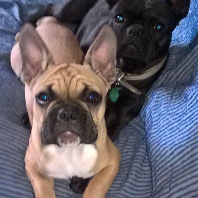 Profile Picture of Pineau Thomas (@thomas_pineau) on Twitter