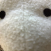 Profile Picture of Romeijn Labree (@romeijnlabree5425) on Youtube