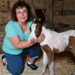 Profile Picture of Lori Cawood (@loricawood) on Instagram