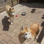 Profile Picture of thomas mullins (@thomas_mullins123) on Instagram