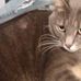Profile Picture of Dodier Kevin (@kevin.dodier.725000) on Facebook