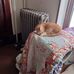 Profile Picture of Lisa Teichman (@lisa.teichman.3) on Facebook