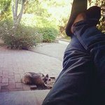 Profile Picture of Misha Tentser (@mish_quiche) on Instagram