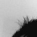 Profile Picture of Daniel Davey (@Daniel2Davey) on Pinterest