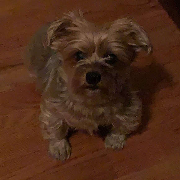 Profile Picture of Deborah Campos (@deborah_campos) on Poshmark