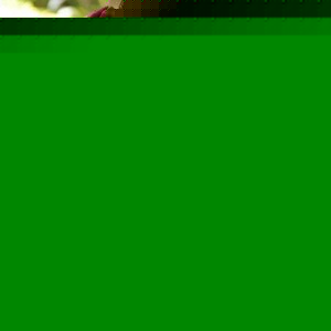Profile Picture of Mahrukh Ahmad (@jovial.grl) on Myspace